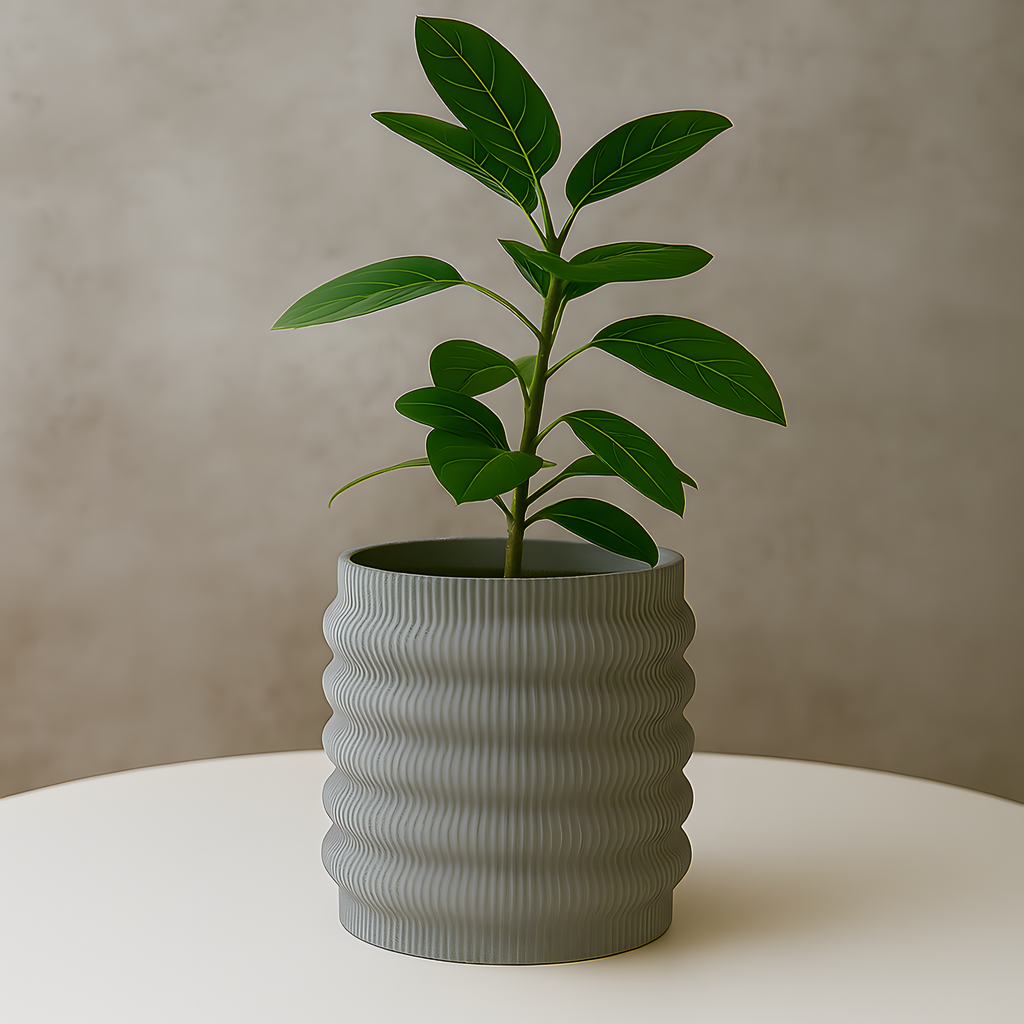 Green potted plant in a textured gray pot on a white surface with a beige background