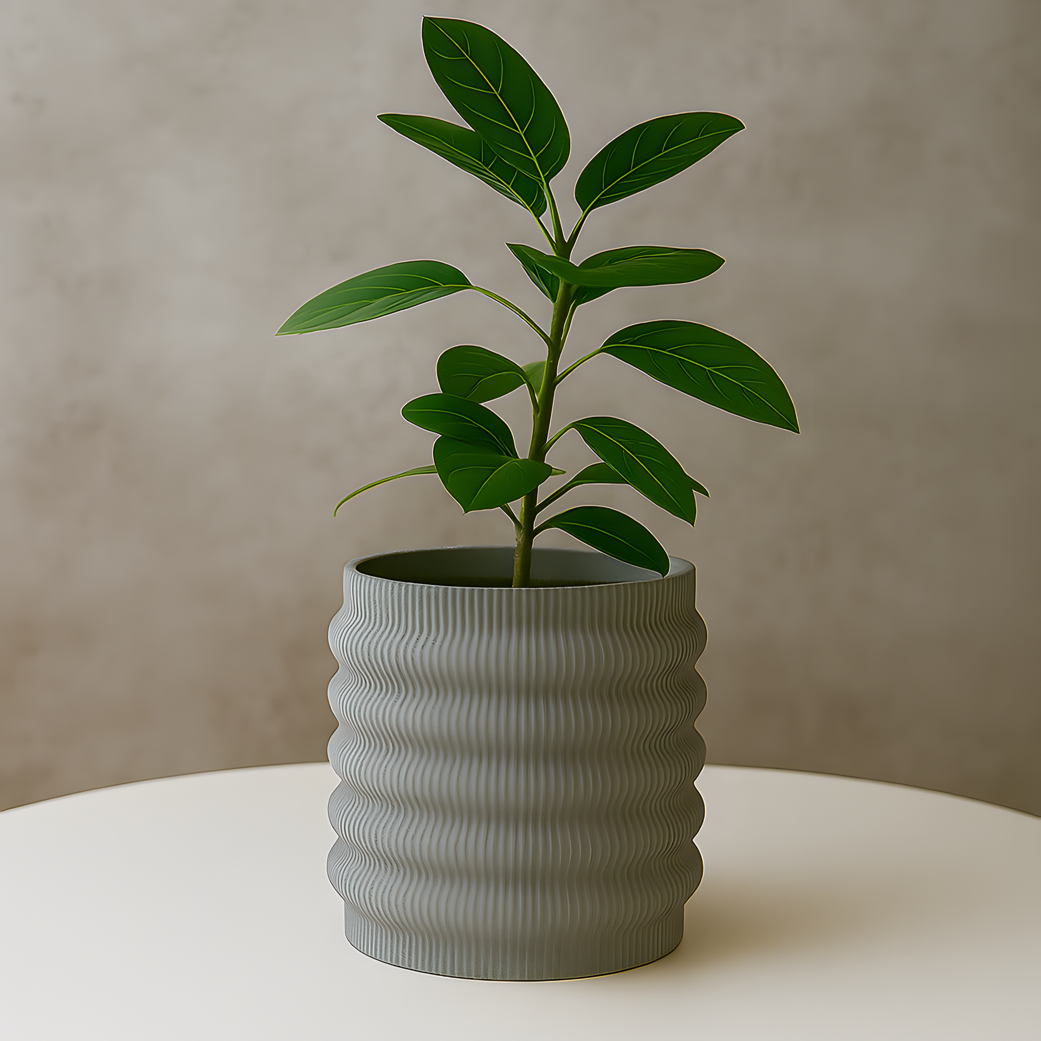 Green potted plant in a textured gray pot on a white surface with a beige background