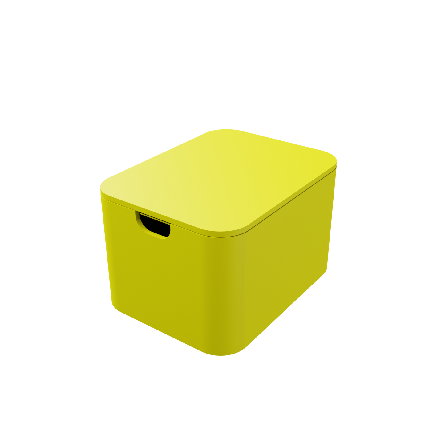 Storage Box with Lid